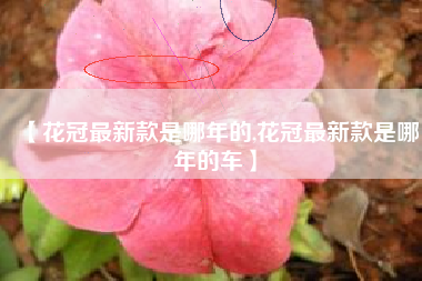 【花冠最新款是哪年的,花冠最新款是哪年的车】 【花冠最新款是哪年的,花冠最新款是哪年的车】