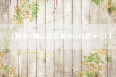 【哈弗h9新车报价,哈弗h9价格2022款】