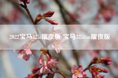 2022宝马325i曜夜版/宝马325lim曜夜版 2022宝马325i曜夜版/宝马325lim曜夜版