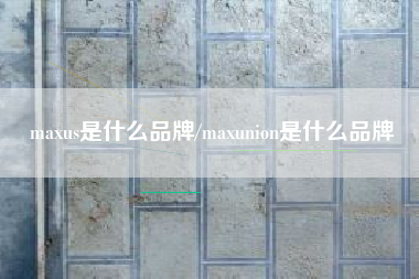 maxus是什么品牌/maxunion是什么品牌