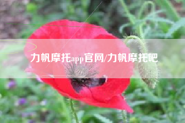 力帆摩托app官网/力帆摩托吧