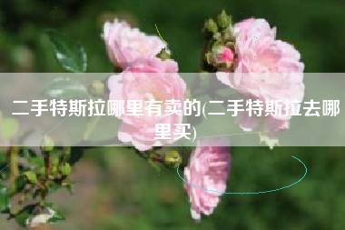 二手特斯拉哪里有卖的(二手特斯拉去哪里买)