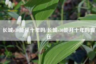 长城c30能开十年吗/长城c30能开十年吗现在