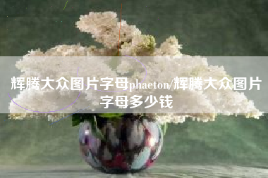 辉腾大众图片字母phaeton/辉腾大众图片字母多少钱