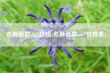 名爵新款mg7价格(名爵新款mg7价格表)