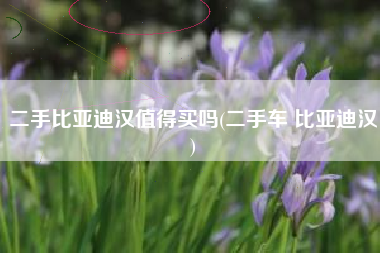 二手比亚迪汉值得买吗(二手车 比亚迪汉)