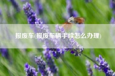 报废车(报废车辆手续怎么办理)