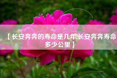 【长安奔奔的寿命是几年,长安奔奔寿命多少公里】