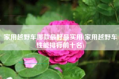 家用越野车哪款最好最实用(家用越野车性能排行前十名)