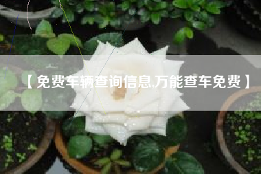 【免费车辆查询信息,万能查车免费】