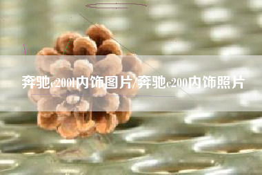 奔驰c200l内饰图片/奔驰c200内饰照片