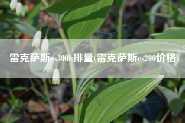 雷克萨斯es300h排量(雷克萨斯es200价格) 雷克萨斯es300h排量(雷克萨斯es200价格)
