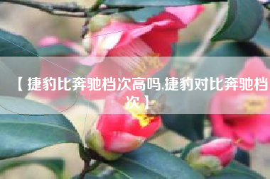 【捷豹比奔驰档次高吗,捷豹对比奔驰档次】