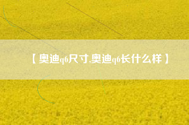 【奥迪q6尺寸,奥迪q6长什么样】
