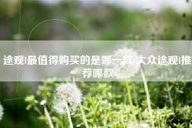 途观l最值得购买的是哪一款/大众途观l推荐哪款