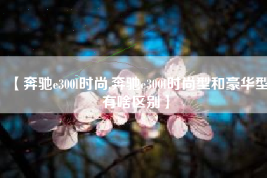 【奔驰e300l时尚,奔驰e300l时尚型和豪华型有啥区别】