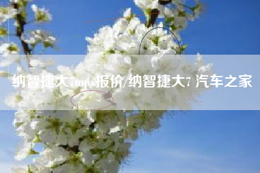 纳智捷大7mpv报价/纳智捷大7 汽车之家