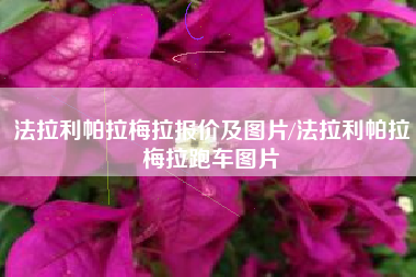 法拉利帕拉梅拉报价及图片/法拉利帕拉梅拉跑车图片