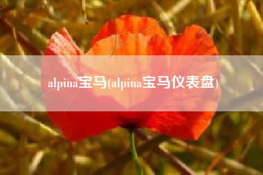 alpina宝马(alpina宝马仪表盘) alpina宝马(alpina宝马仪表盘)