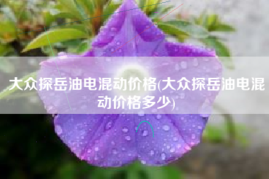 大众探岳油电混动价格(大众探岳油电混动价格多少) 大众探岳油电混动价格(大众探岳油电混动价格多少)