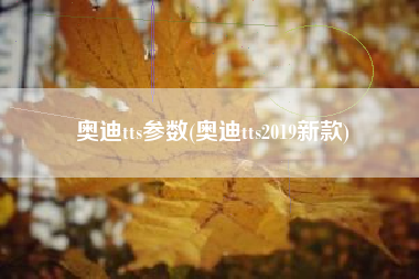 奥迪tts参数(奥迪tts2019新款)