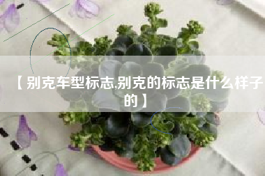 【别克车型标志,别克的标志是什么样子的】