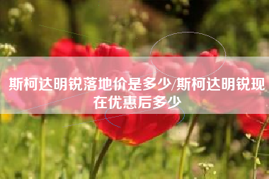 斯柯达明锐落地价是多少/斯柯达明锐现在优惠后多少 斯柯达明锐落地价是多少/斯柯达明锐现在优惠后多少