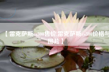 【雷克萨斯es300售价,雷克萨斯es300价格与图片】 【雷克萨斯es300售价,雷克萨斯es300价格与图片】