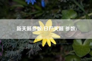 新天籁参数(日产天籁 参数)