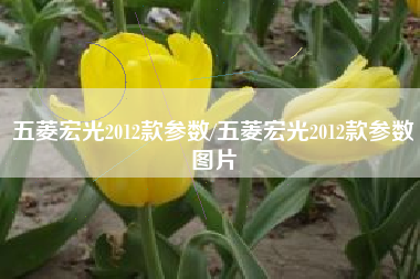 五菱宏光2012款参数/五菱宏光2012款参数图片 五菱宏光2012款参数/五菱宏光2012款参数图片