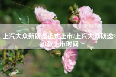 上汽大众新朗逸正式上市/上汽大众朗逸2021款上市时间 上汽大众新朗逸正式上市/上汽大众朗逸2021款上市时间