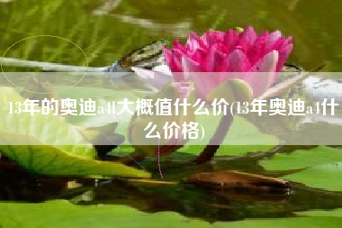 13年的奥迪a4l大概值什么价(13年奥迪a4什么价格)