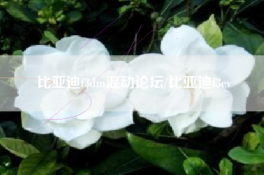 比亚迪f3dm混动论坛/比亚迪f3ev 比亚迪f3dm混动论坛/比亚迪f3ev