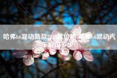 哈弗h6混动新款2023款价格(哈弗h6混动汽车价位多少?)