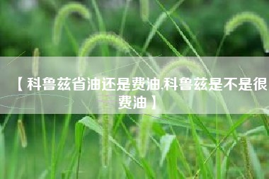 【科鲁兹省油还是费油,科鲁兹是不是很费油】 【科鲁兹省油还是费油,科鲁兹是不是很费油】