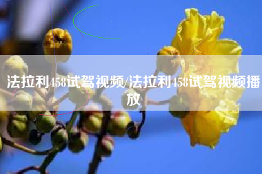 法拉利458试驾视频/法拉利458试驾视频播放