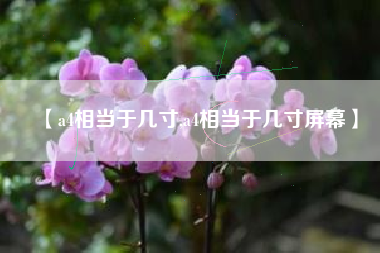 【a4相当于几寸,a4相当于几寸屏幕】 【a4相当于几寸,a4相当于几寸屏幕】