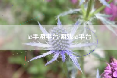 h5手游平台/游戏h5平台