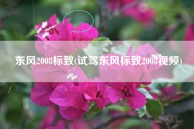 东风2008标致(试驾东风标致2008视频) 东风2008标致(试驾东风标致2008视频)