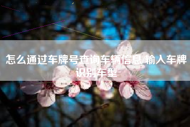 怎么通过车牌号查询车辆信息/输入车牌识别车型