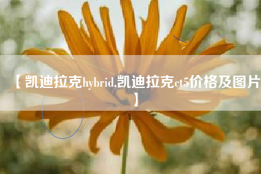 【凯迪拉克hybrid,凯迪拉克ct5价格及图片】 【凯迪拉克hybrid,凯迪拉克ct5价格及图片】