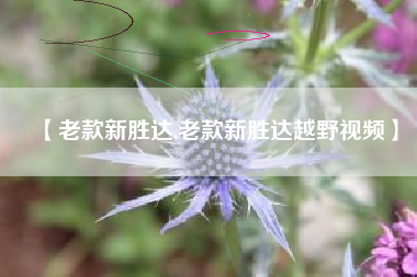 【老款新胜达,老款新胜达越野视频】