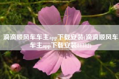 滴滴顺风车车主app下载安装(滴滴顺风车车主app下载安装81312)