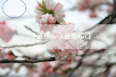【道奇dartgt,道奇Dart】 【道奇dartgt,道奇Dart】
