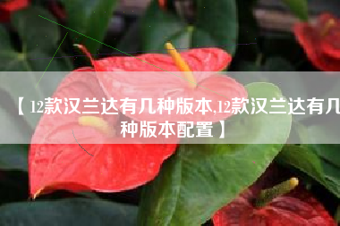 【12款汉兰达有几种版本,12款汉兰达有几种版本配置】