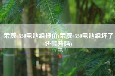 荣威e550电池组报价(荣威e550电池组坏了还能开吗)