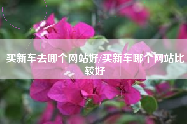 买新车去哪个网站好/买新车哪个网站比较好