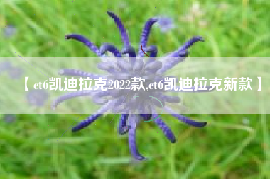 【ct6凯迪拉克2022款,ct6凯迪拉克新款】