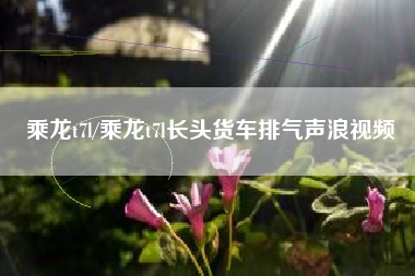 乘龙t7l/乘龙t7l长头货车排气声浪视频 乘龙t7l/乘龙t7l长头货车排气声浪视频