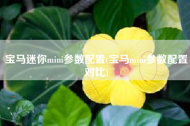 宝马迷你mini参数配置(宝马mini参数配置对比)